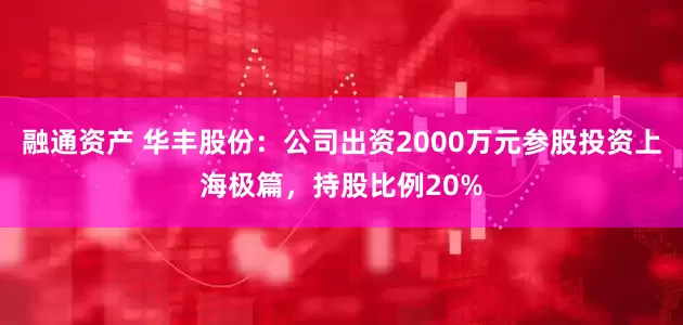 融通资产 华丰股份：公司出资2000万元参股投资上海极篇，持股比例20%
